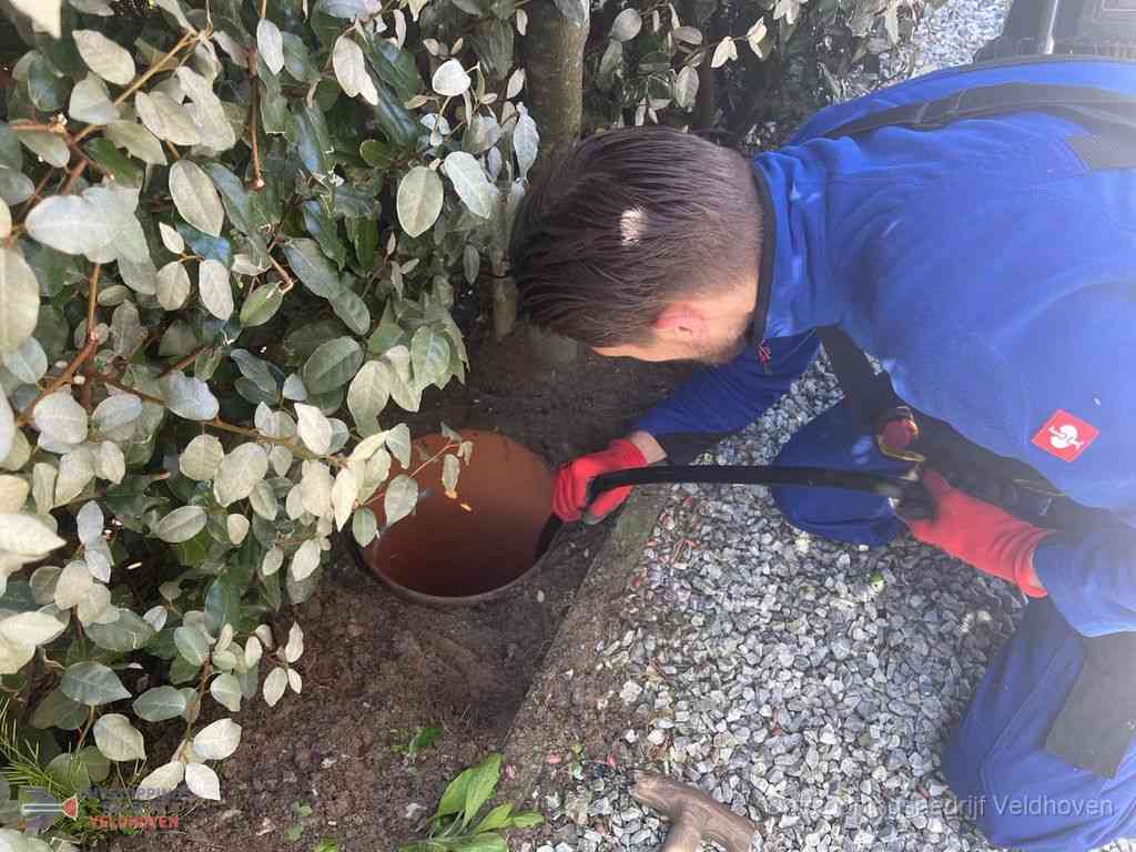 Rioolvliegjes Veldhoven Rioolvliegjes Veldhoven